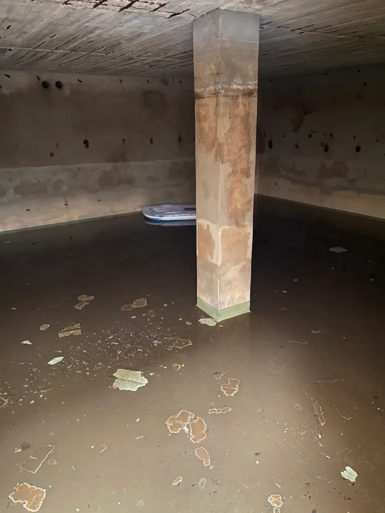 Servicios de desinfección y limpieza de zonas difíciles